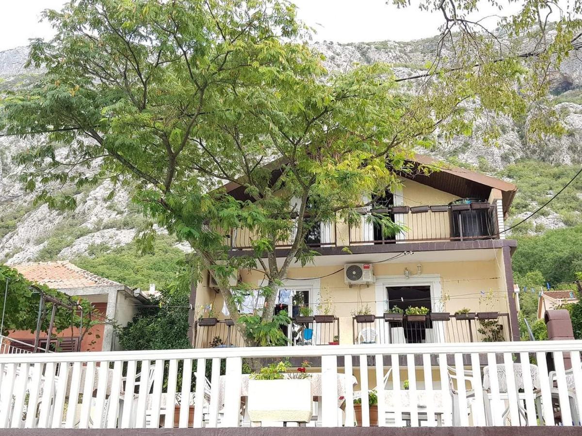 Montenegro Apartmant'S 코토르 외부 사진