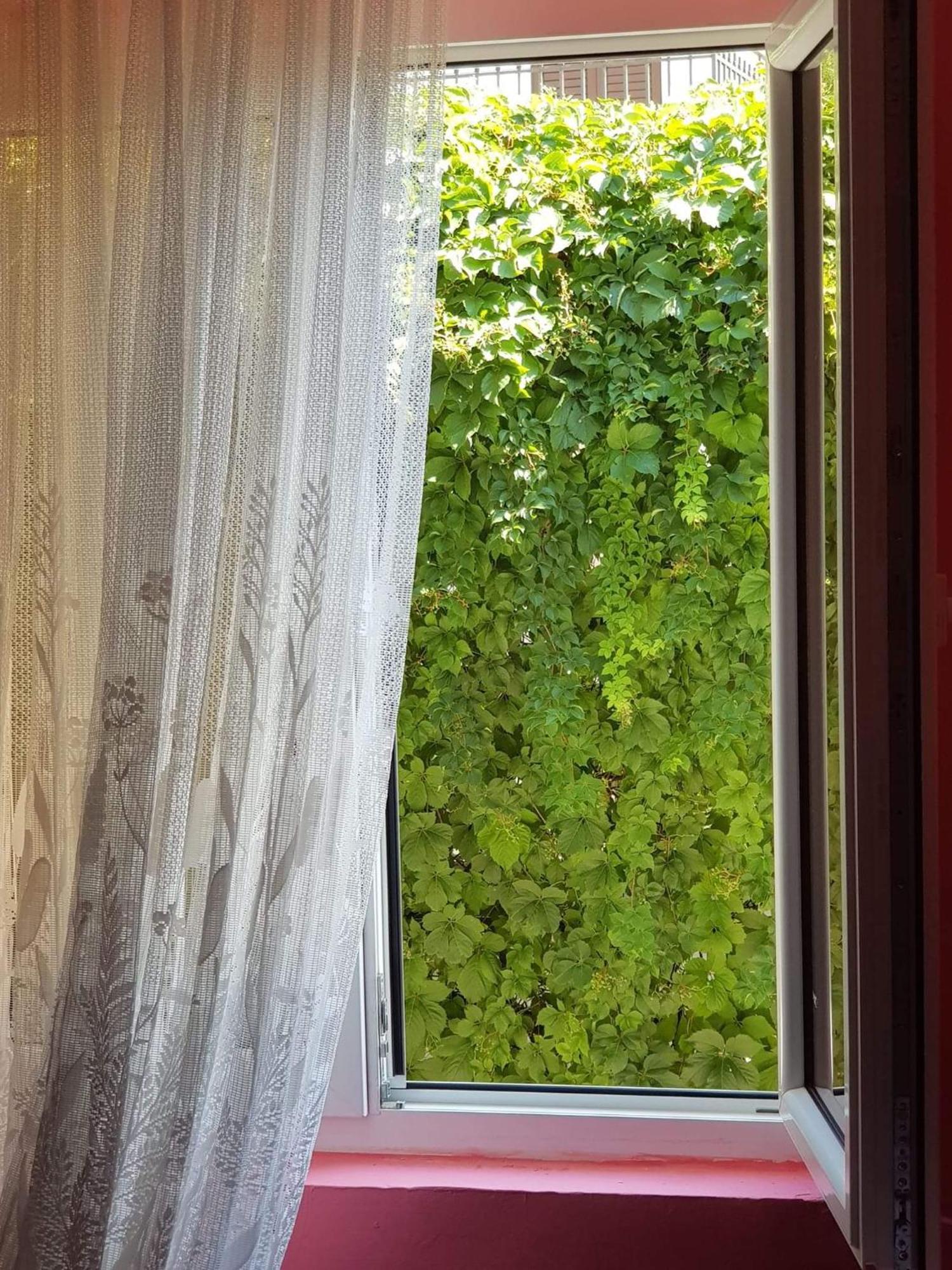 Montenegro Apartmant'S 코토르 객실 사진