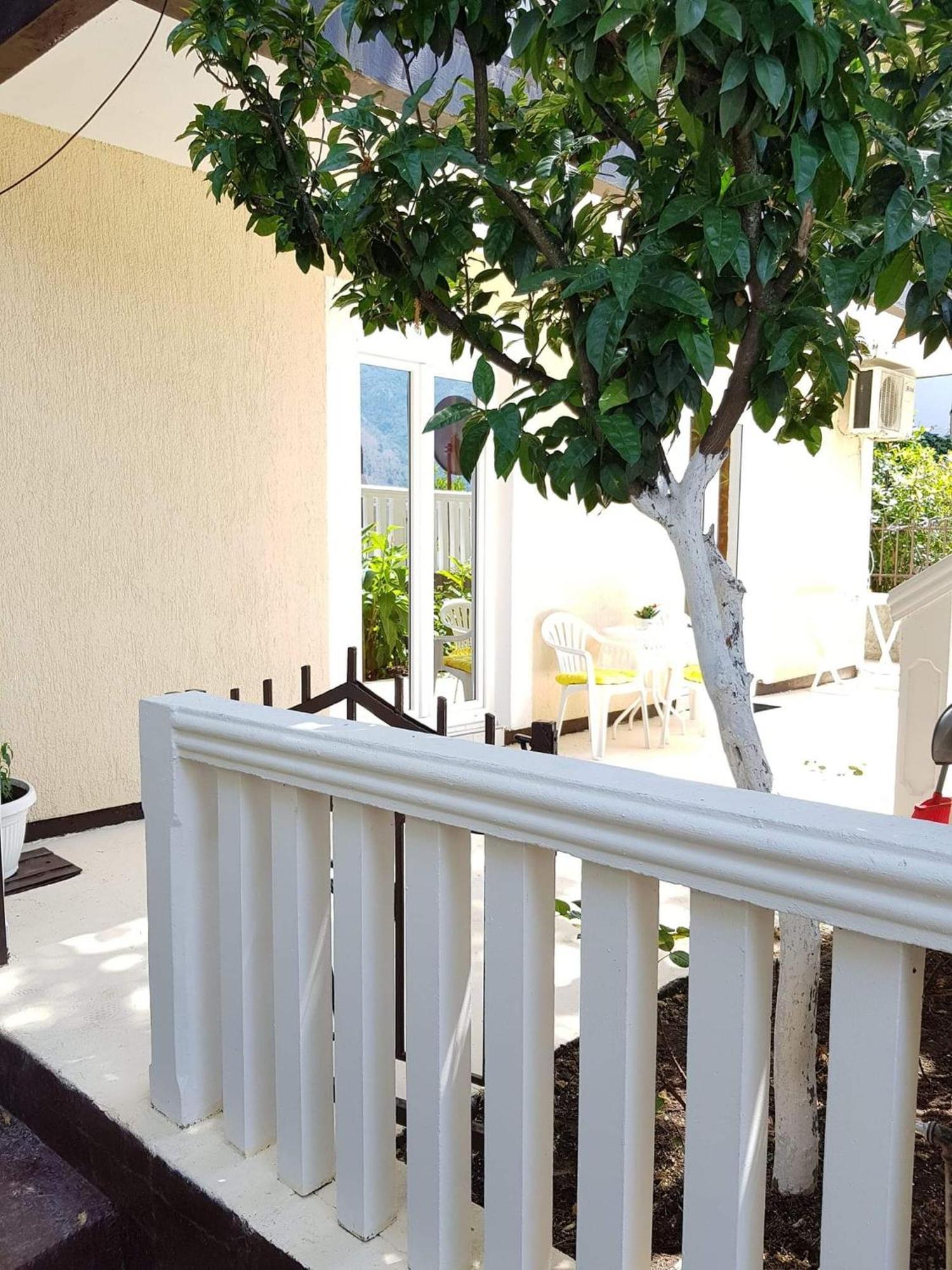 Montenegro Apartmant'S 코토르 객실 사진